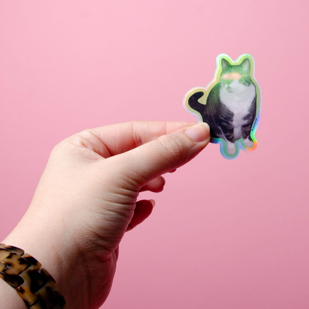 Lazer Booty Funny Cat Sticker (Waterproof & UV Safe)