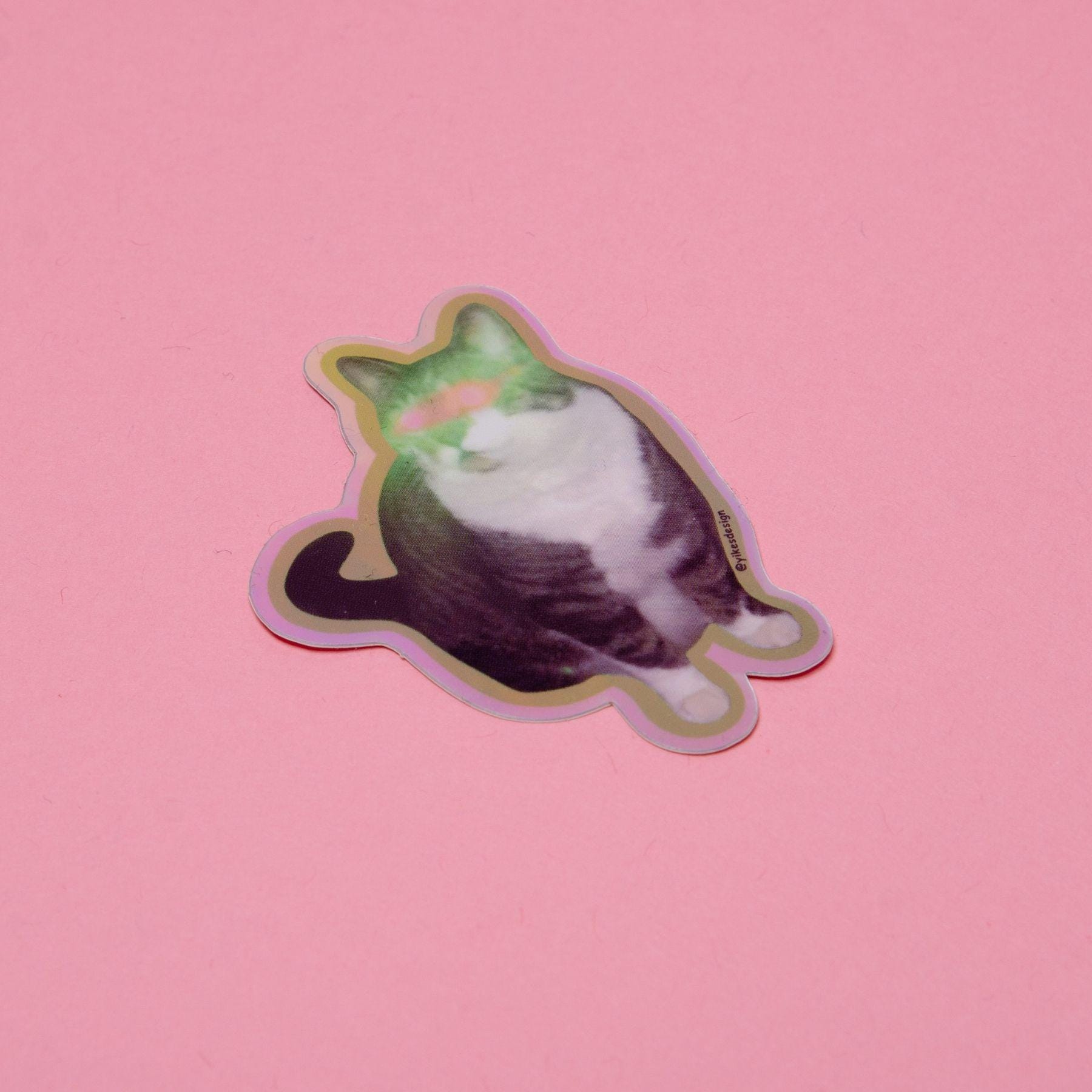 Lazer Booty Funny Cat Sticker (Waterproof & UV Safe)